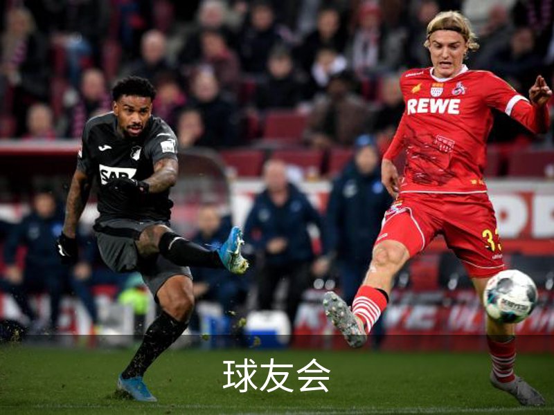 关于球友会